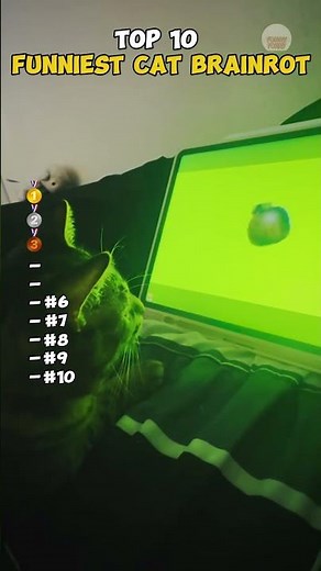 TOP 10 FUNNIEST CAT BRAINROT