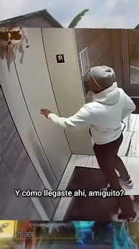 el primer video de perros albureros #humor #animales #perros