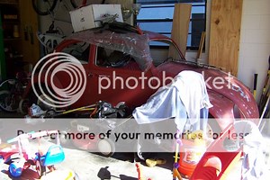 1963 Type 1 Beetle, Tampa