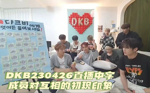 【中字】DKB230426直播Part2|成员对互相的初现印象