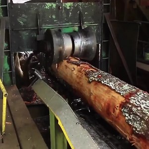 78K views · 36 reactions | Erstaunliche Baumschneidemaschine | SSYNIC | Facebook