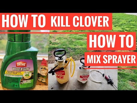 How To Mix & Spray Ortho Weed B Gon Chickweed Clover Killer With Pump Sprayer for Beginners