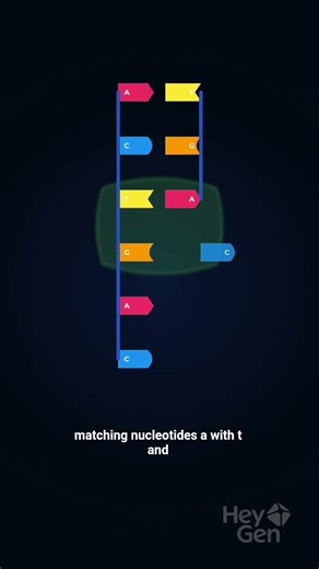 DNA Replication Explained Simply | How Cells Copy DNA 🧬 #DNAReplication#DNA#Genetics