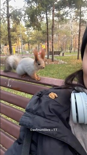 Girl Befriends a Squirrel 😍