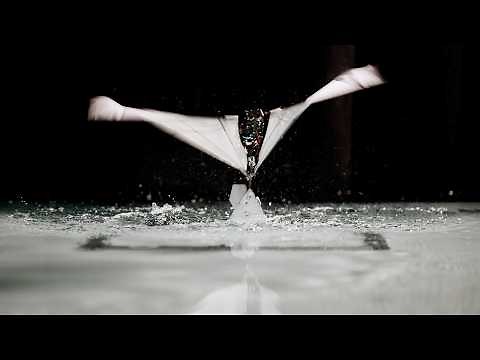 Puffin-Inspired Robot that Swims and Flies