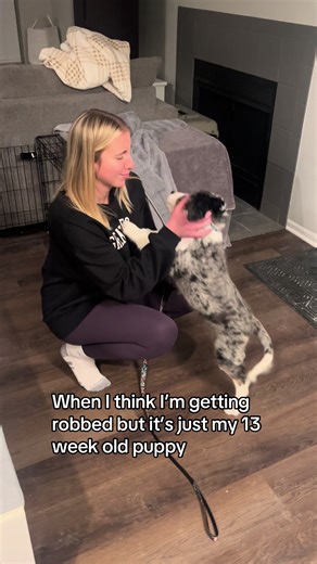Please send chewing recommendations 🐾 #fyp #puppy #robbed #dog #trending