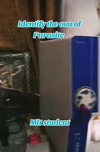 identify stool slide?