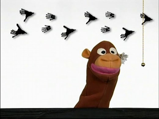 video nº2 - World Animals ORIGINAL VIDEO ( 2001 - 2003)