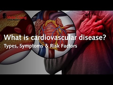 What is cardiovascular disease? | Victor Chang Cardiac Research Institute