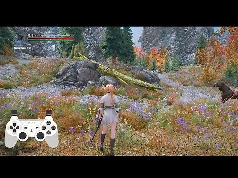 Skyrim Apr 2017 setup Control Showcase