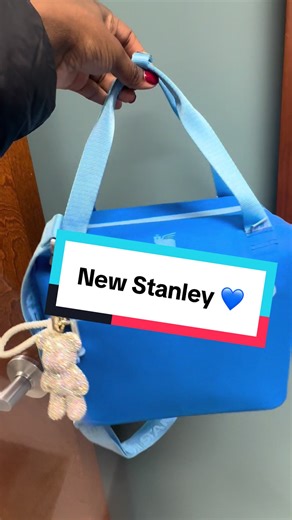 I love my Stanley lunch box! 💙 I literally take it to work everyday. #stanley #fy #foryoupage #lunchbox #fypシ