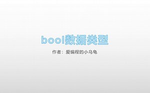 bool数据类型