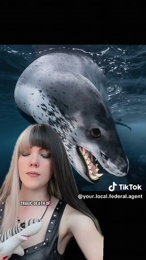 Leopard Seal: The Most Dangerous Seal in the Ocean