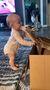 2 little babies are making friends 💗💗💗 #lovebaby #funnybaby #cutebaby #babyfever #lovelybaby #babyphoto #newbornbaby #5minutefails | Funny Film