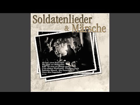 Kehr' ich einst zur Heimat wieder
