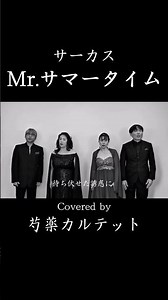 Mr.サマータイム/サーカス/cover/歌詞付き/芍薬紅子