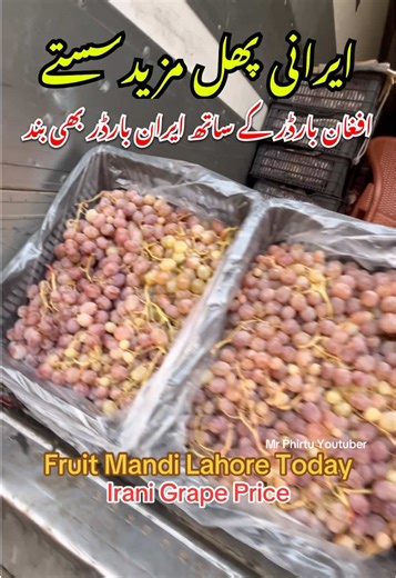 Irani Grapes Price Drop in Lahore Fruit Market Today