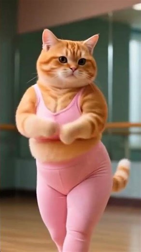 A Chubby Cat's Spring Adventure – Warmth That Melts Your Heart in Every Frame