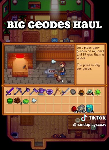 Epic Geode Haul: Two Trips for Rare Finds