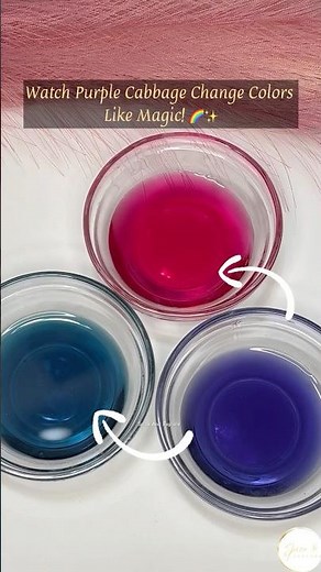 Purple Cabbage Magic! Watch Colors Change Before Your Eyes 🌈🔬 #shorts #diy #scienceexperiment
