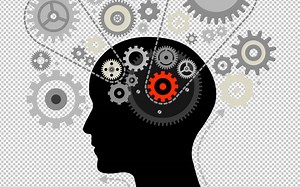 《底层原理1988》21 殿堂级化学家SHULGIN：苯乙胺的179种衍生物（多巴胺、5-羟色胺、血清素/抑郁症/注意力缺陷/爱情与恋爱与一见钟情）