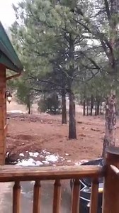 86K views · 2K reactions | It's a Christmas miracle! Thanks to David B. for sharing this awesome snow video from Flagstaff. | ABC15 Arizona | Facebook