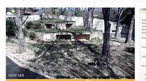 Kids going stir crazy? How about a virtual field trip? | The Weather Channel