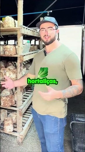 Do campo de hortaliças para os cogumelos: conheça essa nova aposta!