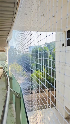 Rewa_sport_works on Instagram: "If you need someone to install pigeon netting, please contact us."