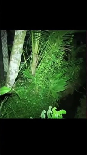 Scary Object #horror #creepy #horrorstories #ghost #foryou