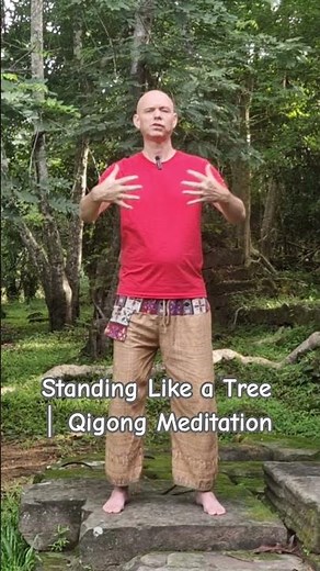 Standing Like a Tree │ Qigong Meditation
