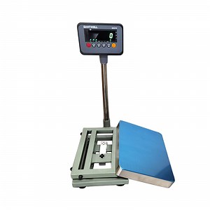 [Hot Item] Tsc 300kg OEM Customization Services Platform Scale Electronic Platform Weighing Scale