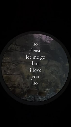 I Love You So - Understanding Its Meaning and Lyrics