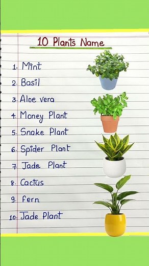10 Plants Name | Plants name | Plants Namein English | Plant Name |Ornamental Plants #plantsname #yt