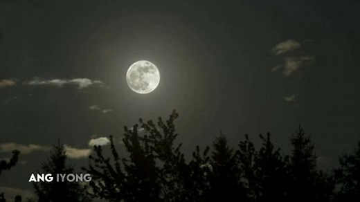 Stunning Full Moon Illuminating Night Sky
