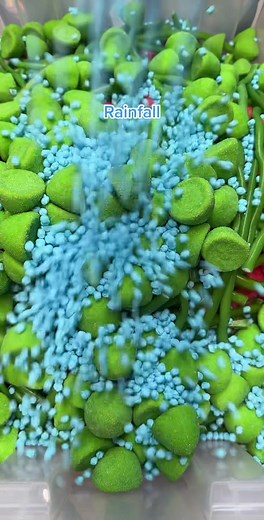 Exploring the Vibrant Rainforest Ecosystem