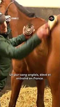 #Stade2 | 🏇Calandagan, the horse racing star!