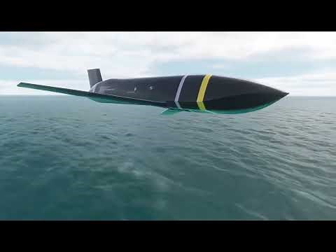 Long Range Anti-Ship Missile(LRASM) in Action : DCS World