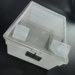 [Hot Item] Rital Rat Feeding Box Mice Tubs Laboratory Mouse Cages R5 Large Rodent Breeding Cage