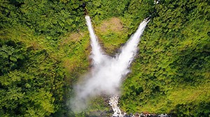 Hidden beneath the jungle canopy
