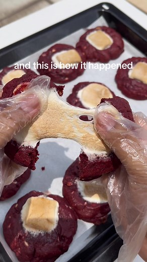 Lost RM3,500 in 3 Hours! 🍪😭 My TikTok Shop Flash Sale Disaster