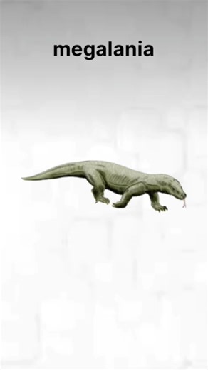 Megalania: The Largest Venomous Lizard in History #facts #extinctanimals #megalania #shorts