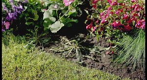 4 comments | Roundup Gel * Nieuwe en unieke onkruidverdelger. * Gel...