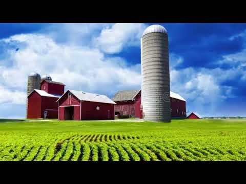 ενδιαφέρουσες ιστορίες κάθε μέρα - 9