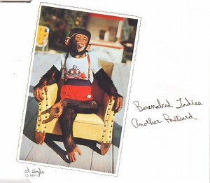 Barenaked Ladies - Another Postcard
