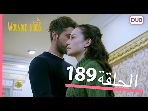الطيور الجريحة | الحلقة الكاملة 189 | مدبلج عربي