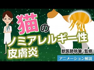 猫のノミアレルギー性皮膚炎について【獣医師執筆監修】症状から治療方法まで