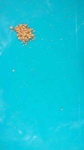 🚨Brand new cake🚨 Lots of hyperrealistic cake techniques in this one! Link in bio to watch! | Sideserf Cake Studio