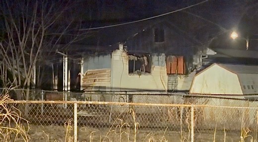 Family loses home, cat in overnight Springfield fire