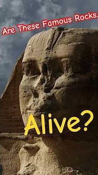 Mudfossils: Petrified Giant Creatures Turned to Stone? Facts or Fiction? You Decide 👍